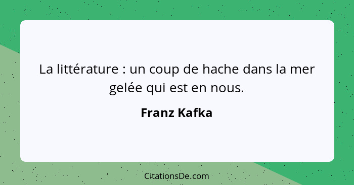 La littérature : un coup de hache dans la mer gelée qui est en nous.... - Franz Kafka