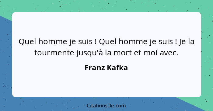 Quel homme je suis ! Quel homme je suis ! Je la tourmente jusqu'à la mort et moi avec.... - Franz Kafka