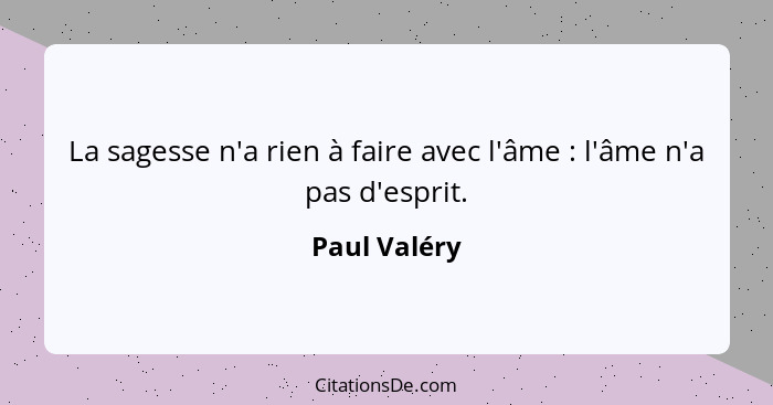 La sagesse n'a rien à faire avec l'âme : l'âme n'a pas d'esprit.... - Paul Valéry