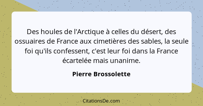 Des houles de l'Arctique à celles du désert, des ossuaires de France aux cimetières des sables, la seule foi qu'ils confessent, c... - Pierre Brossolette