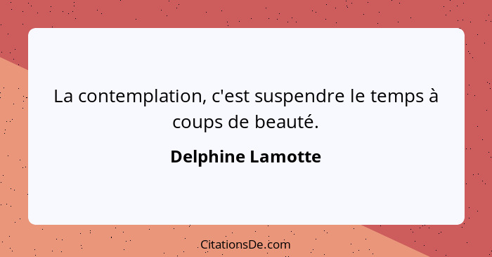 La contemplation, c'est suspendre le temps à coups de beauté.... - Delphine Lamotte