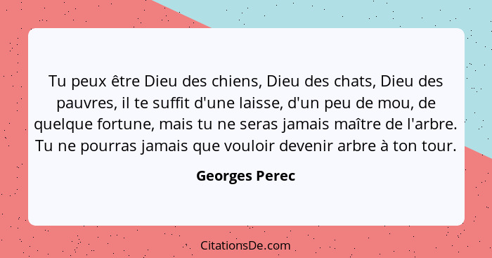 Tu peux être Dieu des chiens, Dieu des chats, Dieu des pauvres, il te suffit d'une laisse, d'un peu de mou, de quelque fortune, mais t... - Georges Perec