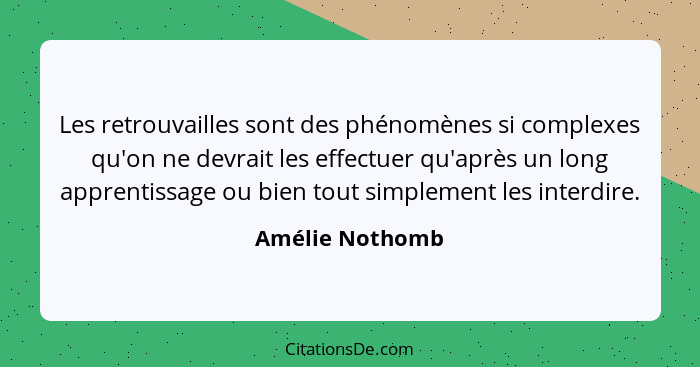 Les retrouvailles sont des phénomènes si complexes qu'on ne devrait les effectuer qu'après un long apprentissage ou bien tout simplem... - Amélie Nothomb