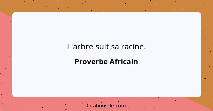 L'arbre suit sa racine.... - Proverbe Africain