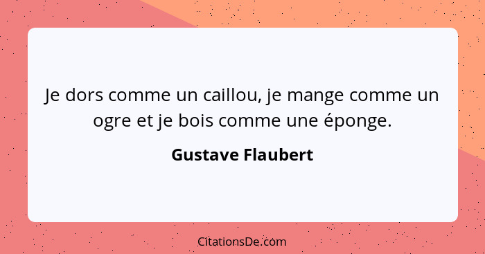 Je dors comme un caillou, je mange comme un ogre et je bois comme une éponge.... - Gustave Flaubert