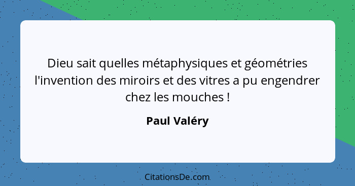 Dieu sait quelles métaphysiques et géométries l'invention des miroirs et des vitres a pu engendrer chez les mouches !... - Paul Valéry