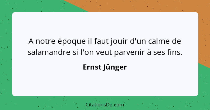 A notre époque il faut jouir d'un calme de salamandre si l'on veut parvenir à ses fins.... - Ernst Jünger