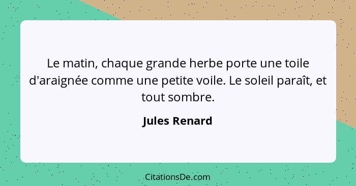 Le matin, chaque grande herbe porte une toile d'araignée comme une petite voile. Le soleil paraît, et tout sombre.... - Jules Renard