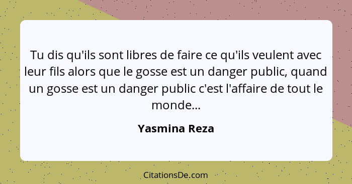 Tu dis qu'ils sont libres de faire ce qu'ils veulent avec leur fils alors que le gosse est un danger public, quand un gosse est un dang... - Yasmina Reza