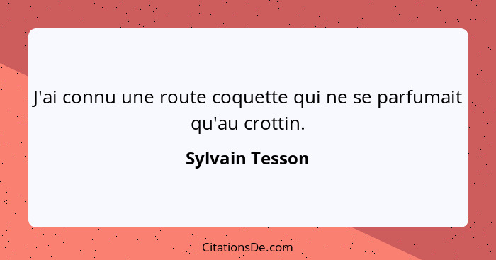 J'ai connu une route coquette qui ne se parfumait qu'au crottin.... - Sylvain Tesson