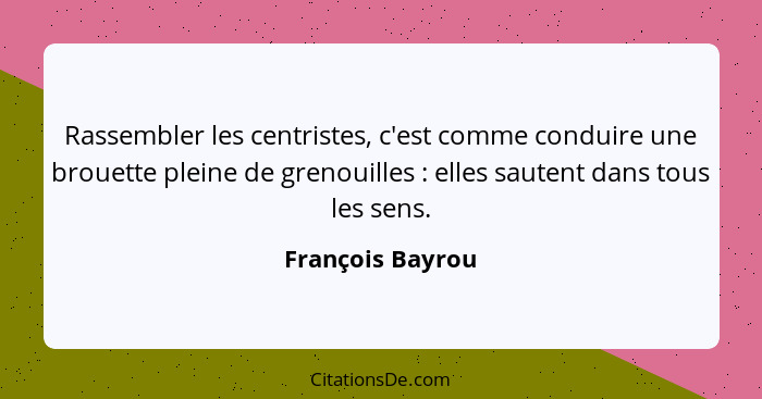 Rassembler les centristes, c'est comme conduire une brouette pleine de grenouilles : elles sautent dans tous les sens.... - François Bayrou