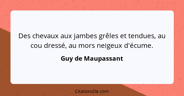 Des chevaux aux jambes grêles et tendues, au cou dressé, au mors neigeux d'écume.... - Guy de Maupassant