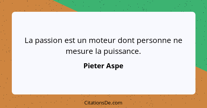 La passion est un moteur dont personne ne mesure la puissance.... - Pieter Aspe