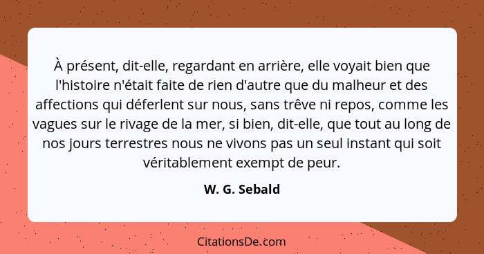 À présent, dit-elle, regardant en arrière, elle voyait bien que l'histoire n'était faite de rien d'autre que du malheur et des affectio... - W. G. Sebald