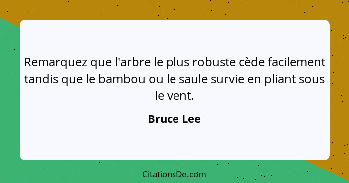 Remarquez que l'arbre le plus robuste cède facilement tandis que le bambou ou le saule survie en pliant sous le vent.... - Bruce Lee