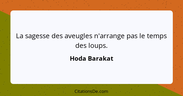 La sagesse des aveugles n'arrange pas le temps des loups.... - Hoda Barakat