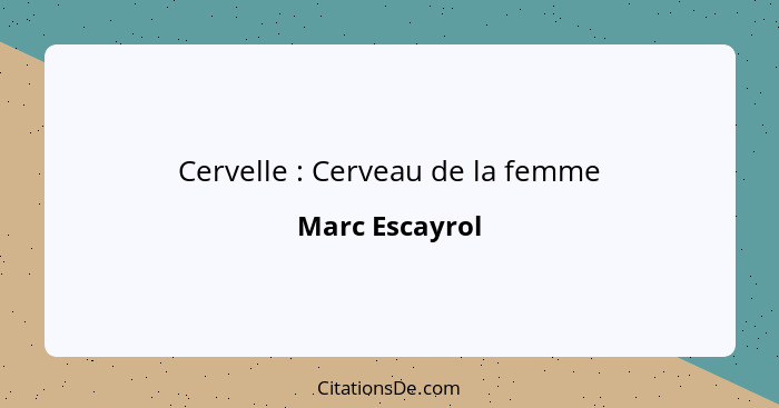 Cervelle : Cerveau de la femme... - Marc Escayrol