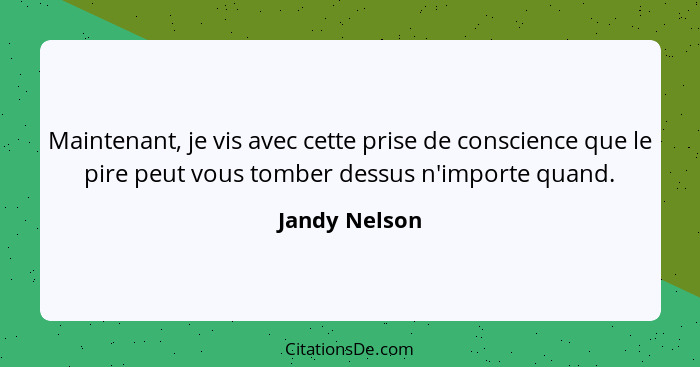 Maintenant, je vis avec cette prise de conscience que le pire peut vous tomber dessus n'importe quand.... - Jandy Nelson