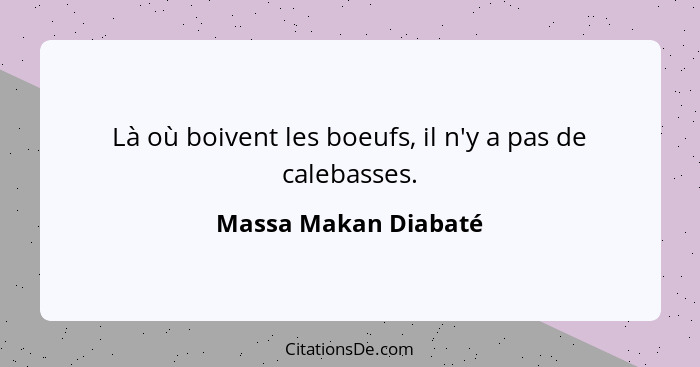 Là où boivent les boeufs, il n'y a pas de calebasses.... - Massa Makan Diabaté