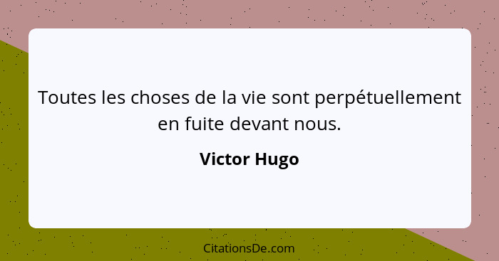 Toutes les choses de la vie sont perpétuellement en fuite devant nous.... - Victor Hugo