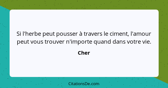 Si l'herbe peut pousser à travers le ciment, l'amour peut vous trouver n'importe quand dans votre vie.... - Cher