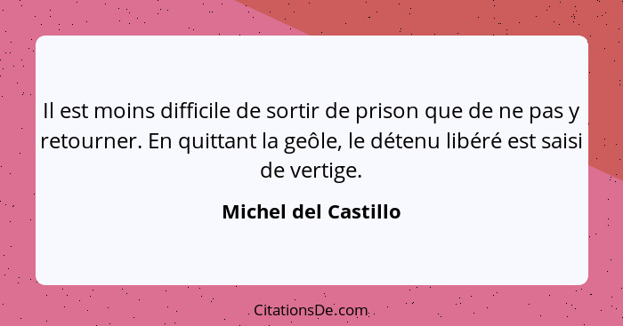 Il est moins difficile de sortir de prison que de ne pas y retourner. En quittant la geôle, le détenu libéré est saisi de vertig... - Michel del Castillo