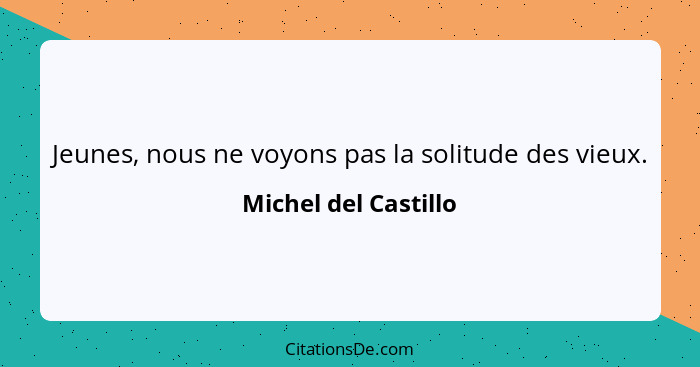 Jeunes, nous ne voyons pas la solitude des vieux.... - Michel del Castillo