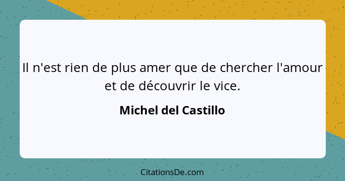 Il n'est rien de plus amer que de chercher l'amour et de découvrir le vice.... - Michel del Castillo