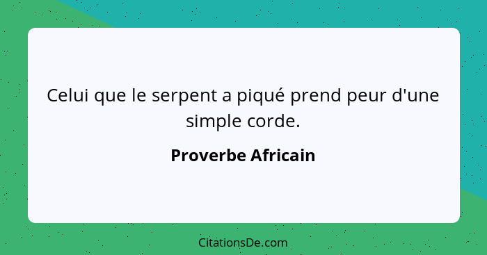 Celui que le serpent a piqué prend peur d'une simple corde.... - Proverbe Africain