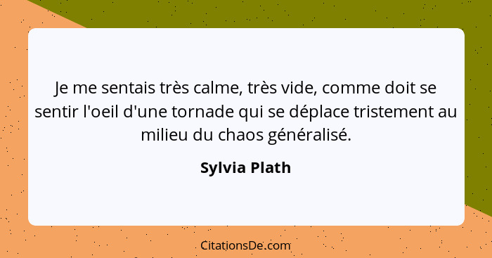 Je me sentais très calme, très vide, comme doit se sentir l'oeil d'une tornade qui se déplace tristement au milieu du chaos généralisé.... - Sylvia Plath