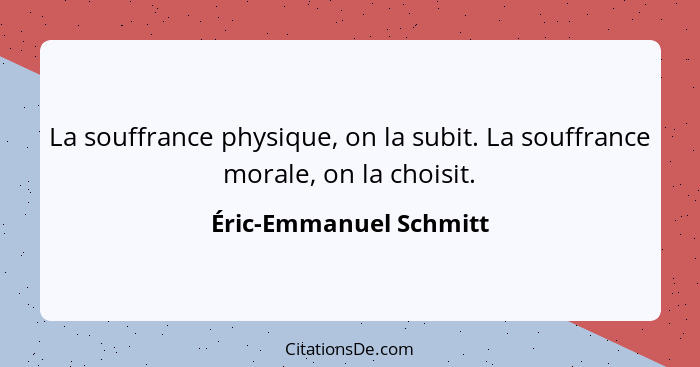 La souffrance physique, on la subit. La souffrance morale, on la choisit.... - Éric-Emmanuel Schmitt