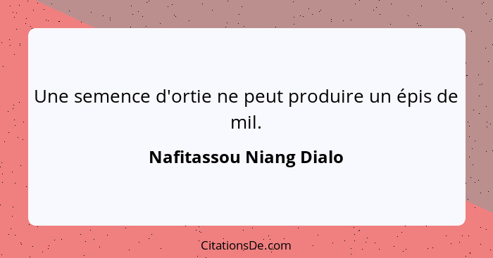 Une semence d'ortie ne peut produire un épis de mil.... - Nafitassou Niang Dialo