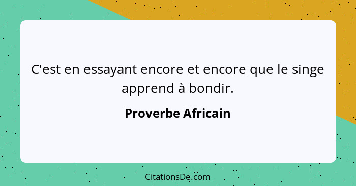 C'est en essayant encore et encore que le singe apprend à bondir.... - Proverbe Africain