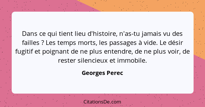 Dans ce qui tient lieu d'histoire, n'as-tu jamais vu des failles ? Les temps morts, les passages à vide. Le désir fugitif et poig... - Georges Perec