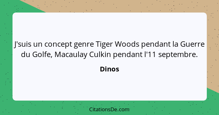 J'suis un concept genre Tiger Woods pendant la Guerre du Golfe, Macaulay Culkin pendant l'11 septembre.... - Dinos