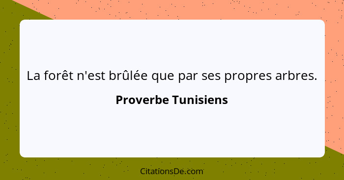 La forêt n'est brûlée que par ses propres arbres.... - Proverbe Tunisiens