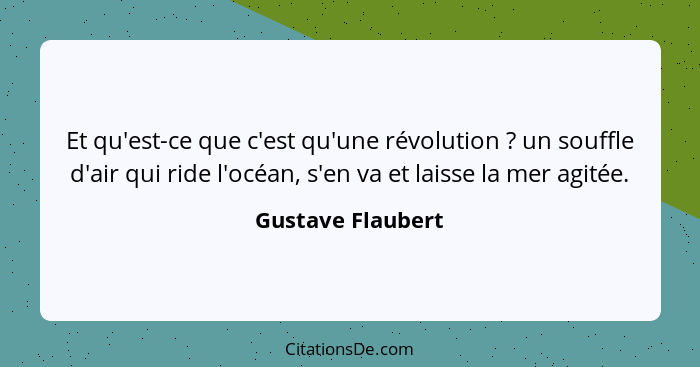 Et qu'est-ce que c'est qu'une révolution ? un souffle d'air qui ride l'océan, s'en va et laisse la mer agitée.... - Gustave Flaubert