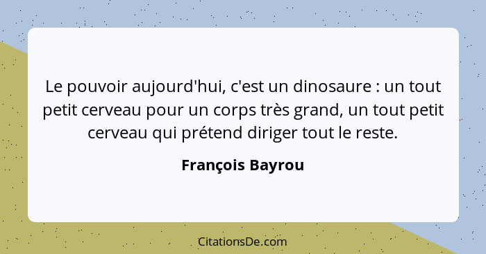 Le pouvoir aujourd'hui, c'est un dinosaure : un tout petit cerveau pour un corps très grand, un tout petit cerveau qui prétend... - François Bayrou