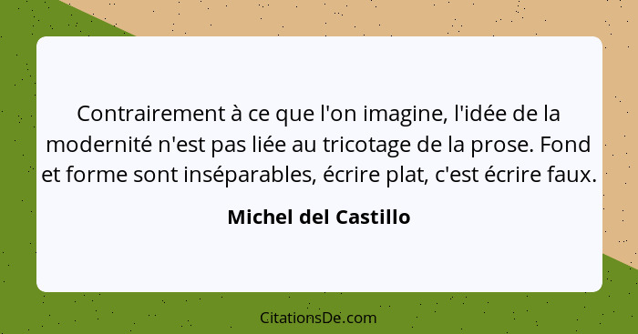 Contrairement à ce que l'on imagine, l'idée de la modernité n'est pas liée au tricotage de la prose. Fond et forme sont insépara... - Michel del Castillo