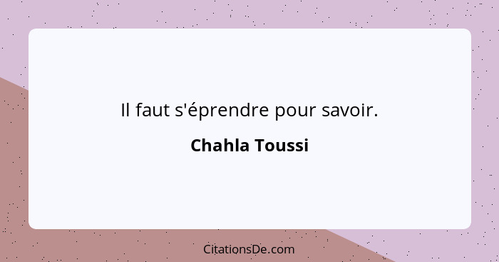 Il faut s'éprendre pour savoir.... - Chahla Toussi