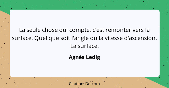 La seule chose qui compte, c'est remonter vers la surface. Quel que soit l'angle ou la vitesse d'ascension. La surface.... - Agnès Ledig