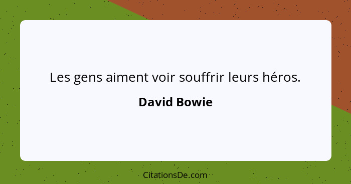 Les gens aiment voir souffrir leurs héros.... - David Bowie