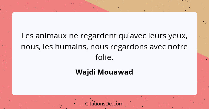 Les animaux ne regardent qu'avec leurs yeux, nous, les humains, nous regardons avec notre folie.... - Wajdi Mouawad