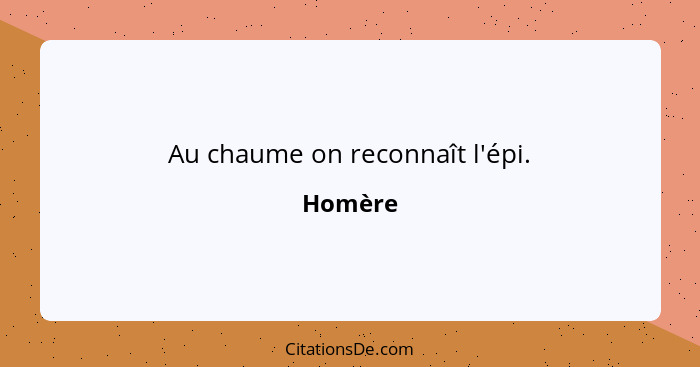 Au chaume on reconnaît l'épi.... - Homère