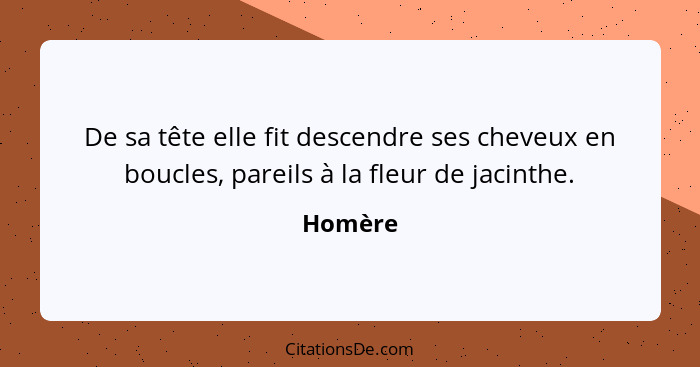 De sa tête elle fit descendre ses cheveux en boucles, pareils à la fleur de jacinthe.... - Homère