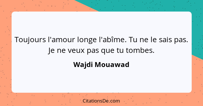 Toujours l'amour longe l'abîme. Tu ne le sais pas. Je ne veux pas que tu tombes.... - Wajdi Mouawad