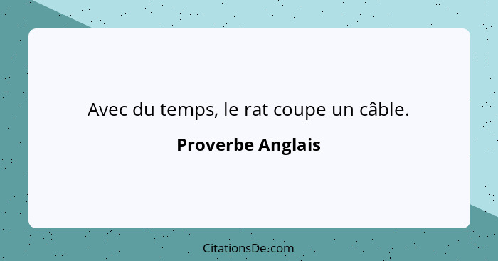 Avec du temps, le rat coupe un câble.... - Proverbe Anglais