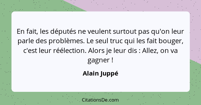 En fait, les députés ne veulent surtout pas qu'on leur parle des problèmes. Le seul truc qui les fait bouger, c'est leur réélection. Alo... - Alain Juppé