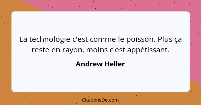 La technologie c'est comme le poisson. Plus ça reste en rayon, moins c'est appétissant.... - Andrew Heller