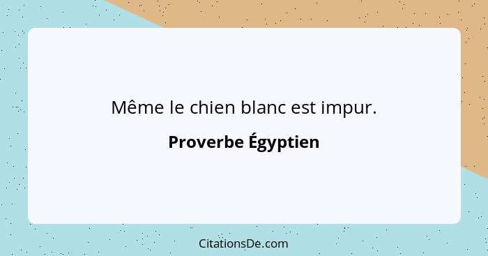 Même le chien blanc est impur.... - Proverbe Égyptien